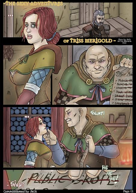 Nikraria - The Witcher - The sexy adventures of Triss Merigold
